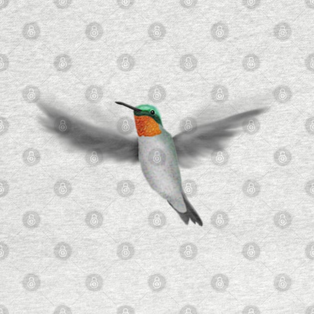 Tiny Illustrated Hummingbird by H. R. Sinclair